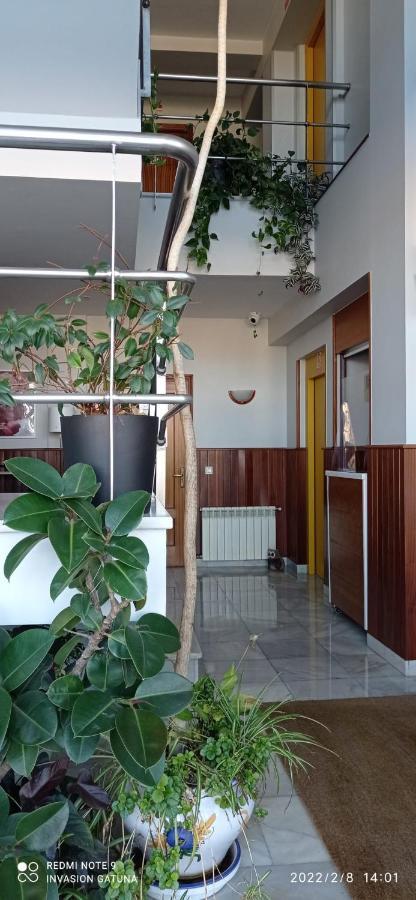 Hotel Narcea Valles  Kültér fotó